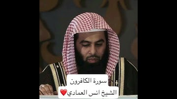 سورة الكافرون الشيخ أنس العمادي