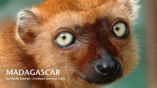 MADAGASCAR - a 5 min Preview by Marlin Darrah
A 5-min preview to my longer 80-minute travel-adventure film about the beautiful and enchanting island country of MADAGASCAR. I highly recommend this country to any traveler with a taste for adventure or a yearning to see and learn more about the unique fauna, flora and culture of this fascinating and unique country. MADAGASCAR - a 5 min Preview by Marlin Darrah