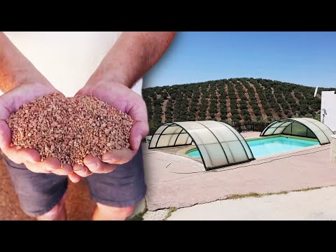Olive Growers Use