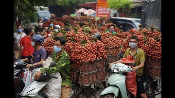 Ùn tắc chợ vải vùng cao Bắc Giang llTin tức 24h quanh tall