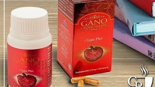 Гано шифо ай Гано iGano Plus