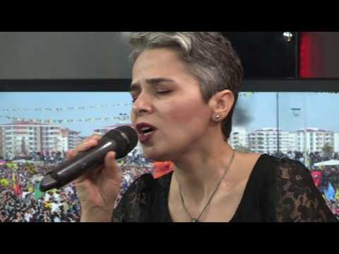 Baran Bozyel -