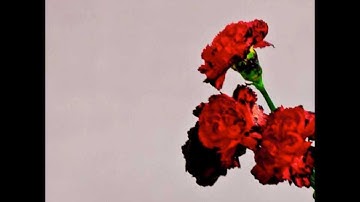 John Legend - Dancing In The Dark (live cover)