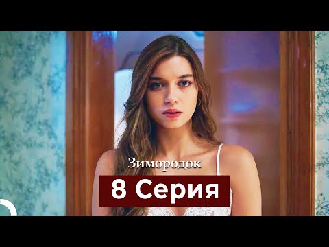 Зимородок 8 Cерия