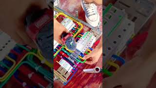 Standard Residential Electrical Panel Wiring | Safety First Approach #shortvideo