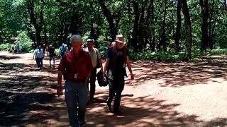 Foloi Forest With Studiosus Reisen2