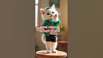 Kitten dance going viral 🕺🔥 | Viral video 🥰 #shorts #shortsfeed #cat #catdance #cutecat