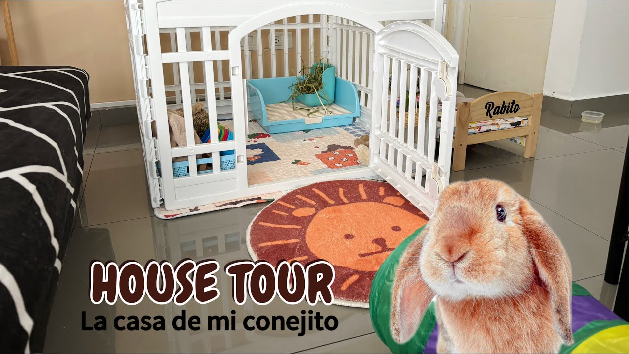 House Tour, conoce el espacio de mi conejito. Casita, juguetes, accesorios y espacios.