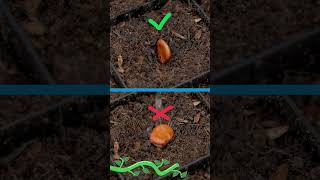 Winter sowing!
