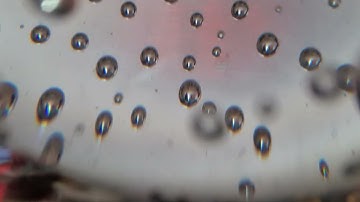 Mika Vainio / processing the dead minotaur / Important Records // in reverse  +3.2 rpm echo 120