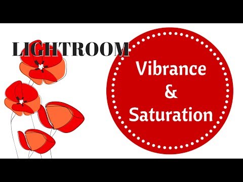 Lightroom - Vibrance vs Saturation