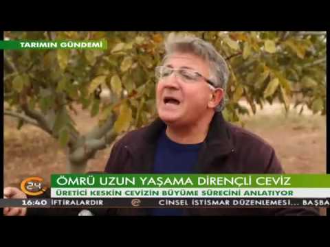 Video: Pecan Ağacı Bakımı - Bir Ceviz Ağacının Nasıl Dikileceğini Öğrenin