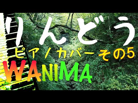 りんどう ／WANIMA ピアノカバー練習風景　その5