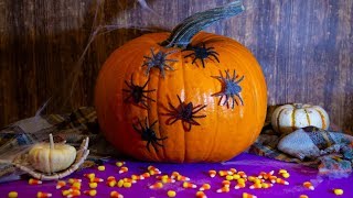 Spiders Carve a Pumpkin (Stop Animation)