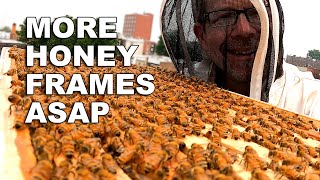 Quick! Bees Need More Honey Space