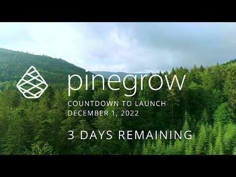 Pinegrow Countdown: Day 3 - Pinegrow Frameworks
