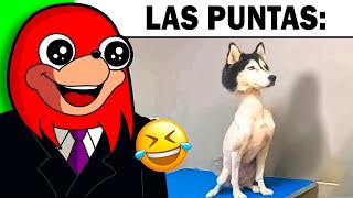 1 HORA De MEMES Para REIR SIN PARAR 😂😎 #10
