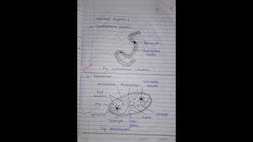 Class 11th Biology Chapter 2. Systematic of Living Organisms NOTES #notes #biology