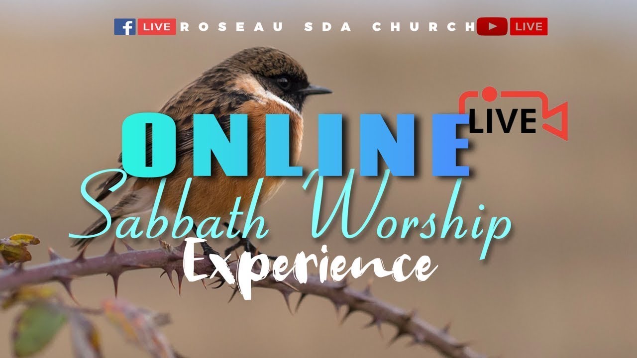 Sabbath Worship Experience || Roseau SDA Church || 15.11.2025