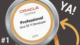 Certificacion Profesional DESAROLLADOR JAVA 11 #1