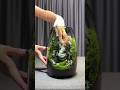 Relaxing Zen Terrarium 🌿🌱🌱| Mini Buddha Garden ASMR 🚩🙌#BuddhaDecor#ZenGarden#IndoorPlants#MossArt