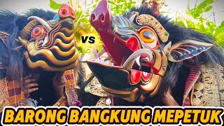 EXCITING‼️ BARONG BANGKUNG MEPETUK‼️ BARONG SWARA MURTI VS BARONG CELENG ALAS‼️ #bandbindbund #ba...