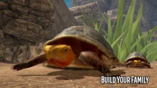 Box Turtle Simulator - App Promo Video screenshot 3