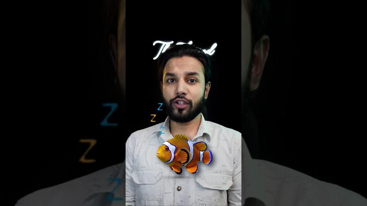 Do Fish Sleep With Their Eyes Open