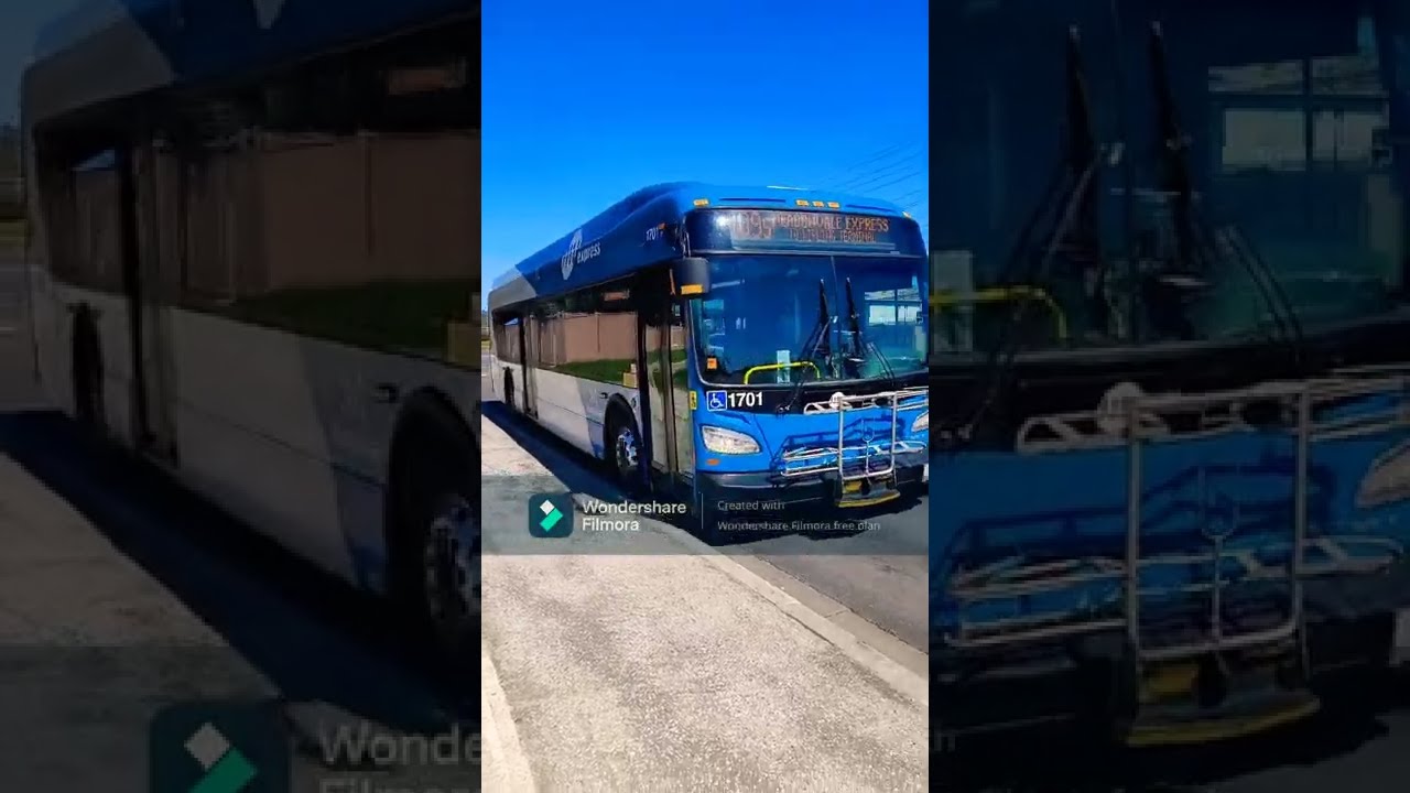 Local buses in Canada 