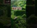 ¿Qué es este lugar cubierto por la naturaleza?  #abandonado #misterio #shorts