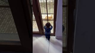 Miyuvvvvvvv 🤪 Yusuf Ve Kedi 🐈🤣