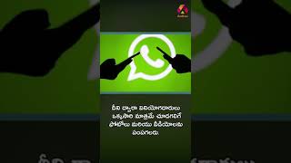 WhatsApp introduces 'View Once' feature where image, video disappears after viewing screenshot 3