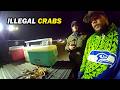 Every Crab They Kept Was Illegal - Washington State