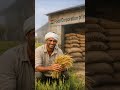 Why India REJECTED Trump’s Agriculture Deal 🇮🇳🚜 | Farmers vs America