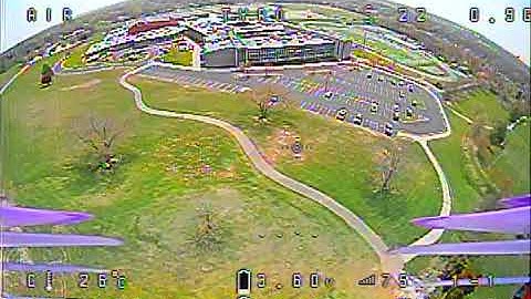 Tyro79 - chasing the bird