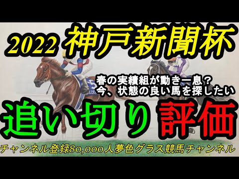 【最終追い切り評価】2022神戸新聞杯全頭！春の実績馬たちの動きに不安？今、状態が良い馬を探せ！