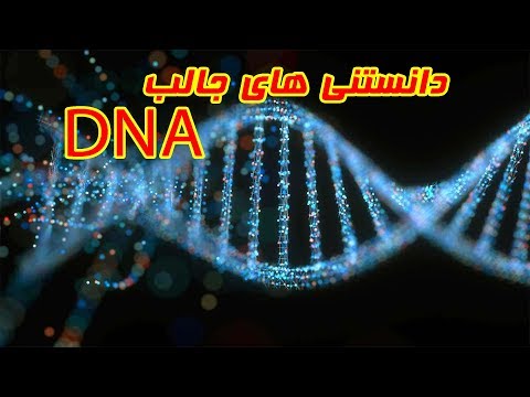 تصویری: DNA معماری