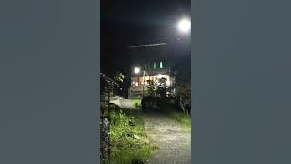 balik ke penjara suci
