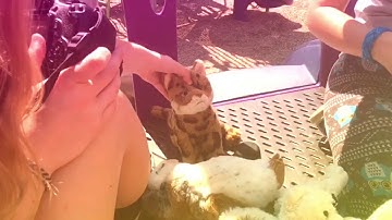 Mountain sound part 11