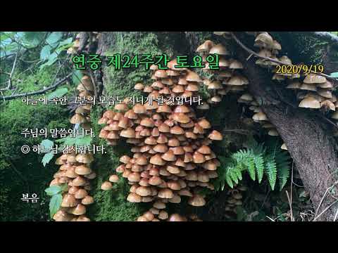 영상썸네일