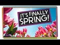 The Science of Spring!