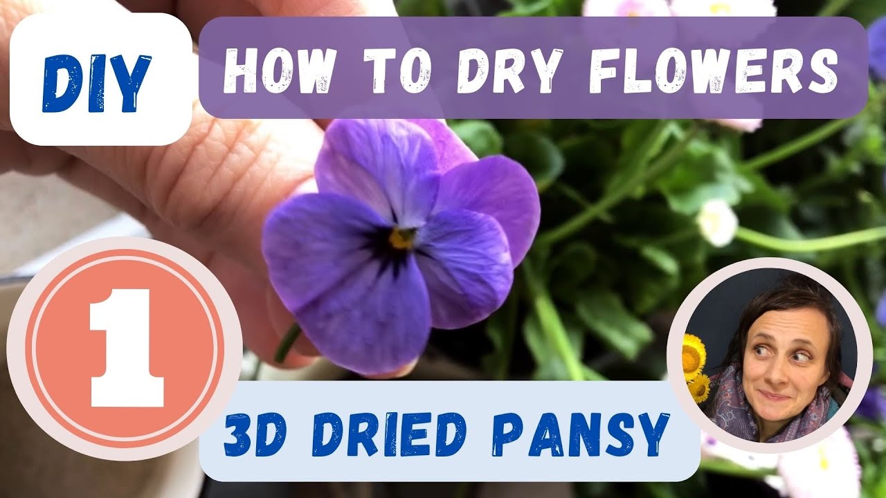1 How to dry flowers for jewelry DIY Dried Flowers 🌸 3D Pansy 🌸