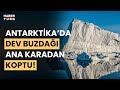 Antarktika&#39;da 380 kilometrekarelik devasa buzdağı koptu!