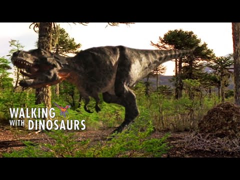 Walking with Dinosaurs [1999] - Female Tyrannosaurus rex Screen Time