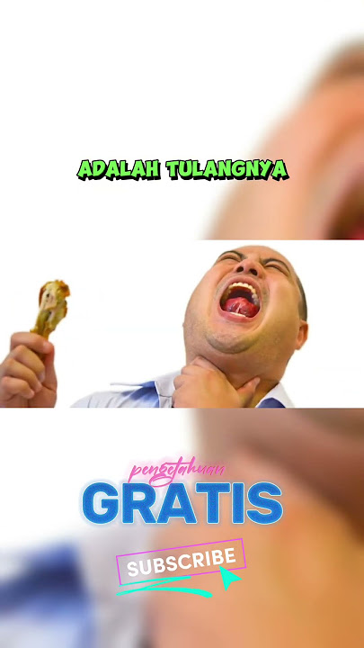 Makanlah makanan yang bisa membuatmu kenyang | Pengetahuan Gratis #part 1