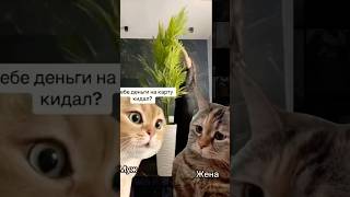 Повадки животных во многом схожи с поведением людей! 🤣🤣🤣