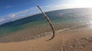 Ep5 Needle Fish Breaks off , Shore Casting soft baits Riambel Mauritius screenshot 4
