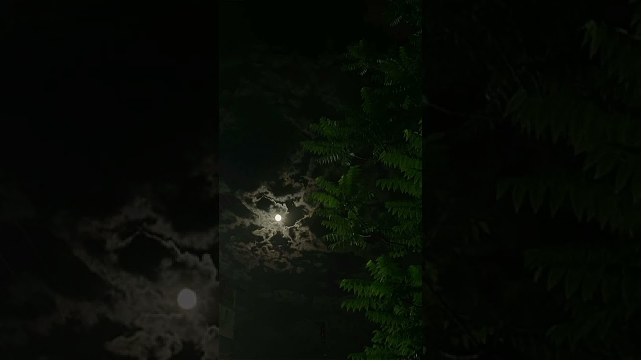 Молчат Дома - Судно(Борис Рыжий)(speed up)