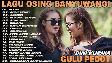 Album Dini Kurnia - ACLAK, GULU PEDOT, GERIGIS - Full Album Lagu Osing Banyuwangi On Trending 2025