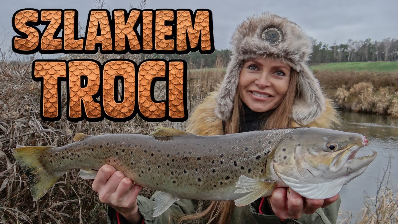 CYKL ŻYCIA TROCI i ŁOSOSI, jak znajdują drogę na tarlisko? / odc. 240